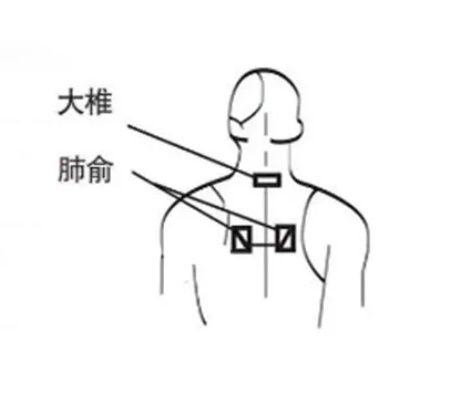 穴位圖2(1).jpg